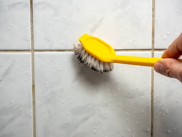 Trusted Argyle, TX Mold Remediation Experts